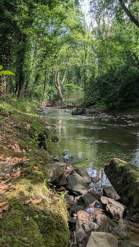 Norton Hammer Woodland - Park in nether edge