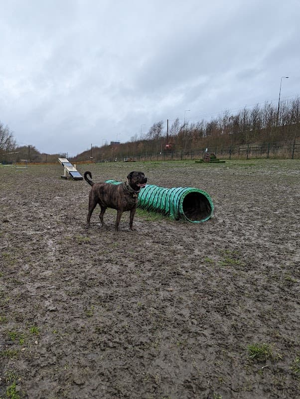 Unleashed Dog Park - Pontefract - Park in pontefract