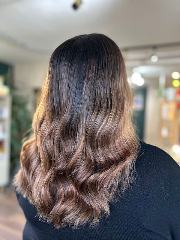Green & Co Salon - Hair Salons in ripon
