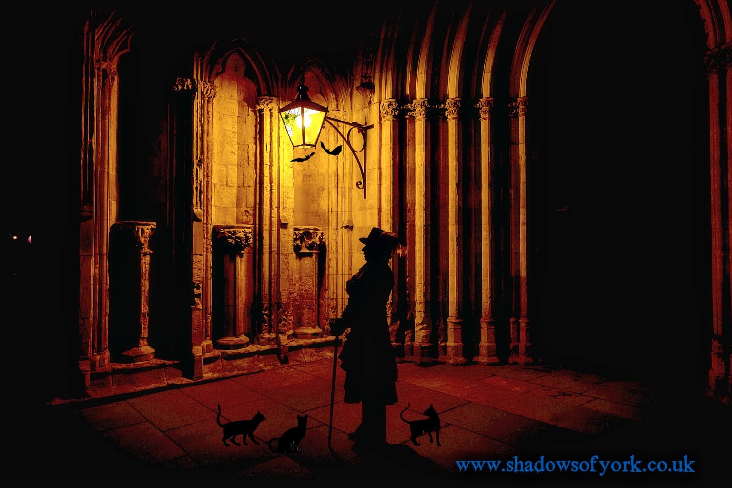 Shadows of York - Entertainment in york