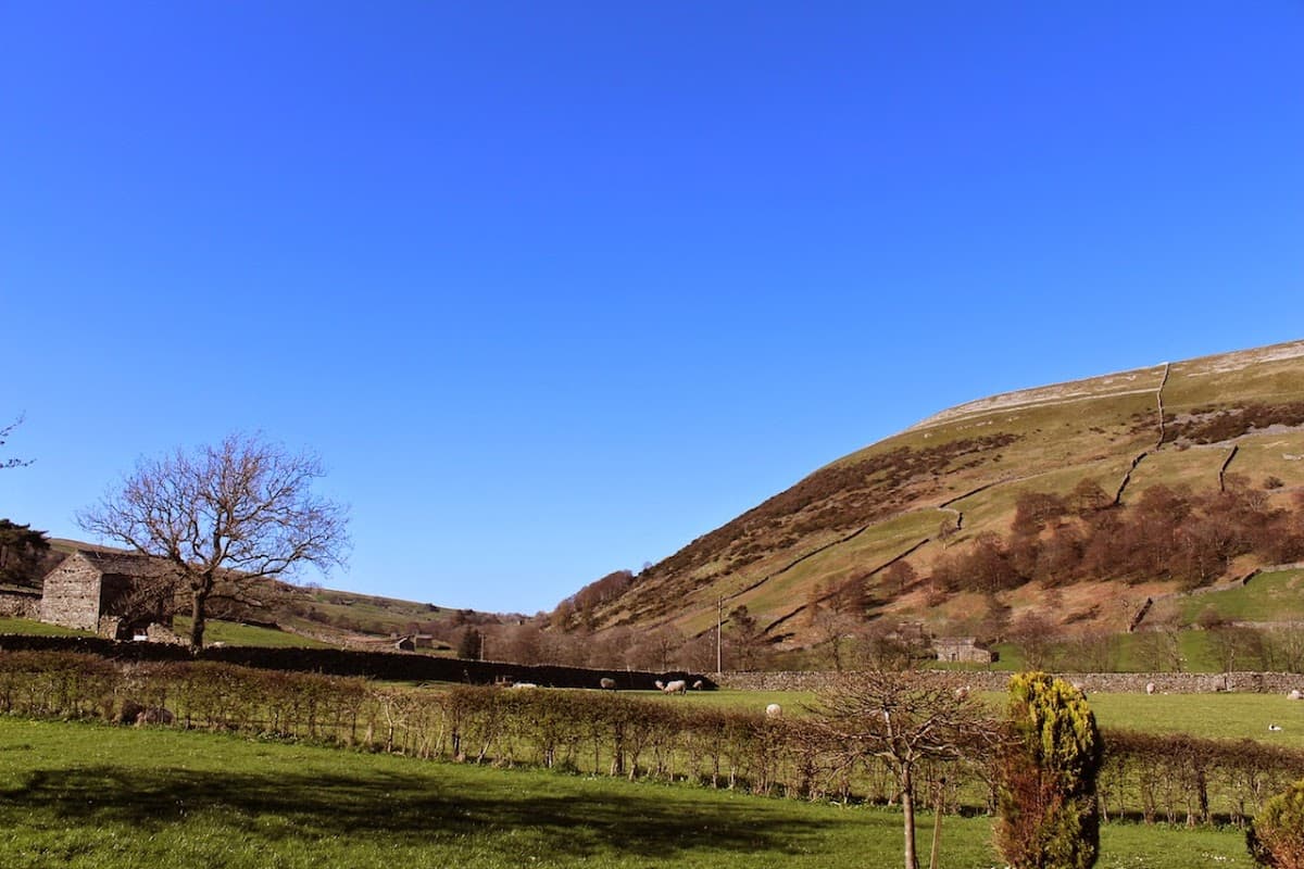 Rolling green hills under a clear blue sky, with dry stone walls and a tree in the foreground.