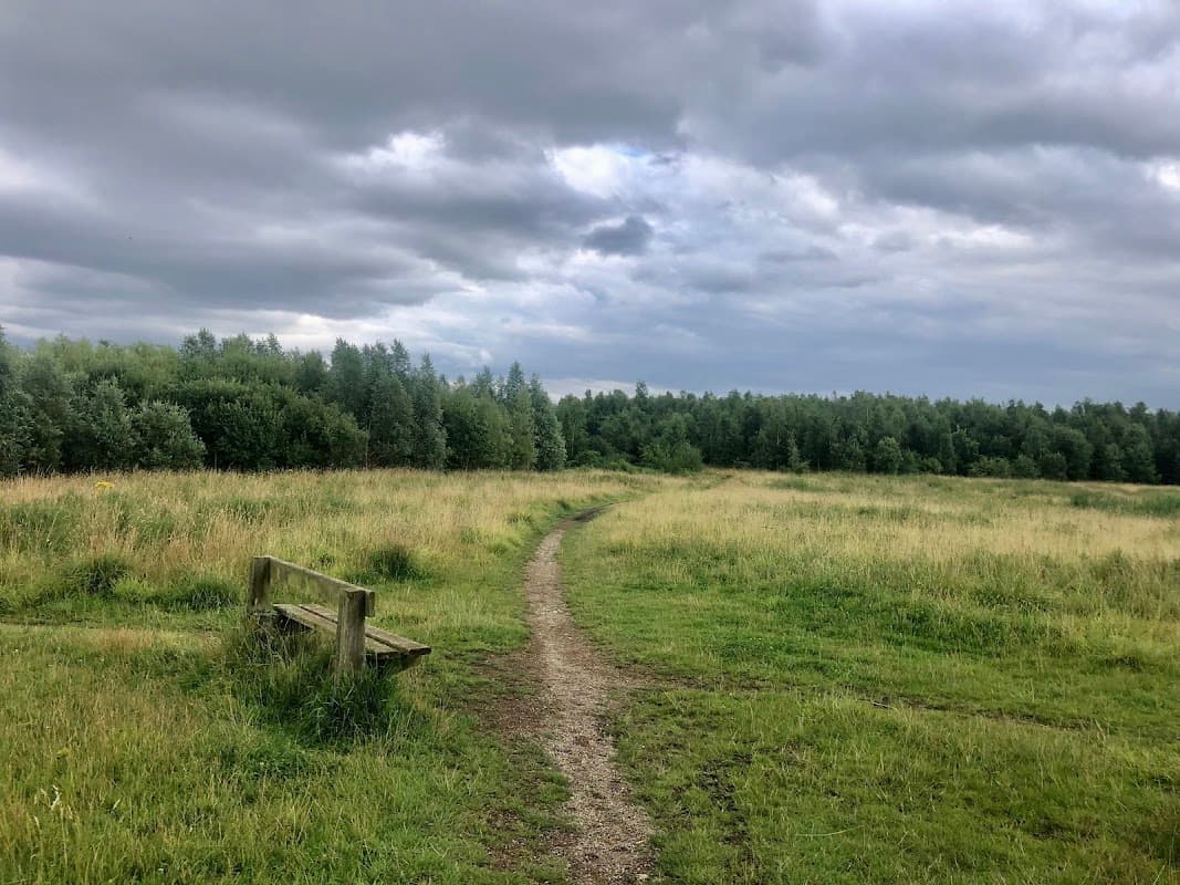 Brookfield's Park Landscape Area - Park in wath upon dearne