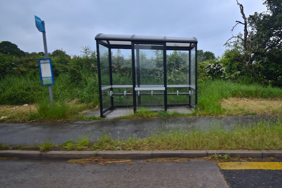 A bus shelter with a glass roof, surrounded by overgrown grass and trees, on a quiet road in Whitwell, Yorkshire.