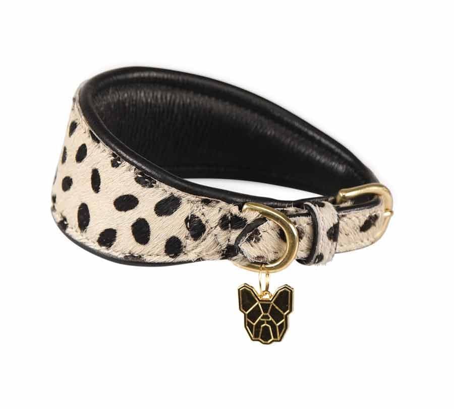 Cow hair greyhound collar in grey with black spots, featuring a sleek design, gold hardware, and a small gold dog charm attached.