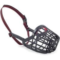 Black plastic dog muzzle with red-trimmed adjustable strap and basket design for small breeds.