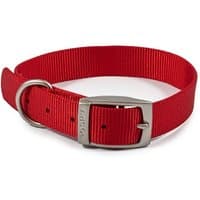 Red Ancol Viva Buckle Collar, size 28-36cm, with silver metal buckle and D-ring.