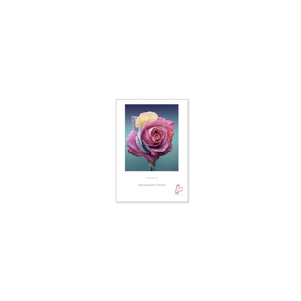 Hahnemühle Rice Paper pack containing 25 sheets, A4 size, featuring a textured surface ideal for fine art printing, with a soft white color and a logo in the bottom corner.