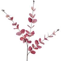 Pink eucalyptus foliage stem with round leaves, 80cm tall, featuring delicate branching and vibrant pink hues.