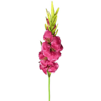 Pack of 6 artificial pink gladioli stems, 115cm, with vibrant blooms and green leaves.