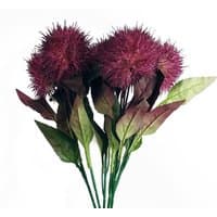 Pack of 6 artificial Globe Thistle stems with purple spiky balls and green leaves, each 70cm tall.