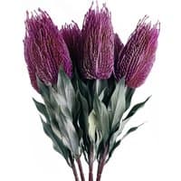 Pack of 6 artificial Banksia Menziesii stems with pink flowers and green leaves, each 75cm tall.