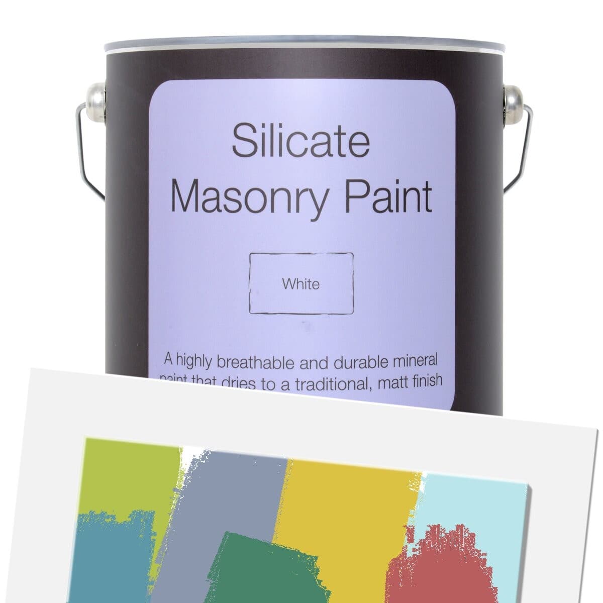 Earthborn Silicate Masonry Paint in a 5L black container with a purple label, featuring the product name and description, alongside swatches of various paint colors.