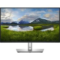 Dell P2225H monitor, 21.5-inch, black frame, silver stand, displaying a landscape with mountains and a lake.