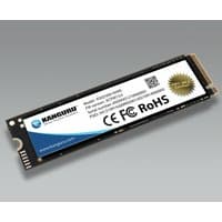 iStorage Kanguru Defender SED300 SSD, black with white label, FIPS 140-2 certified, M.2 2280, PCIe NVMe 4.0 x4.