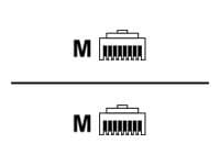 Lindy RJ45/RJ45 Cat6 networking cable, 1 meter long, featuring male connectors on both ends, designed for 10/100/1000Base-T(X) connections.