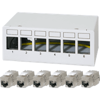 White LogiLink 6-port patch panel with numbered slots and six Cat.6A Keystone modules below.
