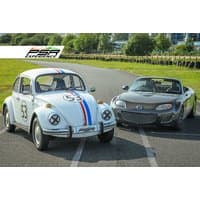 Two iconic film cars: a white vintage Beetle with racing stripes and a gray convertible on a racetrack.