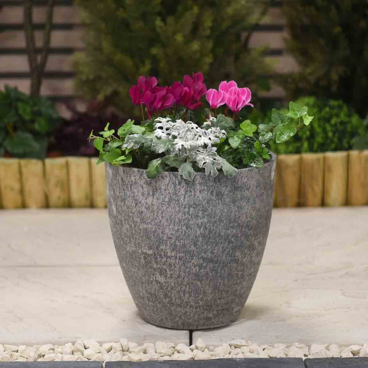 Stone effect grey planter, 28 cm in diameter, featuring vibrant pink and white cyclamen flowers and lush green ivy, set against a natural stone backdrop.