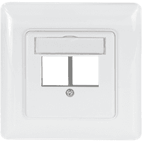White LogiLink Keystone Faceplate with two module slots and a straight outlet design.