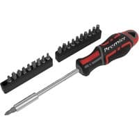 Sealey 21 Piece GripMAX set with red and black ergonomic handle, silver shaft, and multiple interchangeable bits.