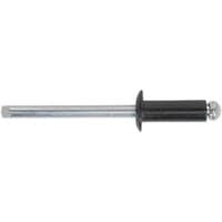 Black aluminum rivet by Sealey with a silver shaft and rounded head.