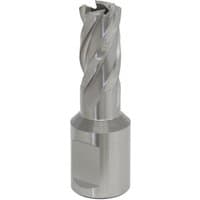 Sealey RBHSS14S Rotabor Cutter, silver, spiral fluted design, HSS, 14mm diameter, 25mm cut depth.