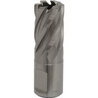 Sealey RBHSS19S Rotabor Cutter, silver, cylindrical with spiral flutes, 19mm diameter, 25mm cut depth.