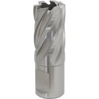 Sealey RBHSS21S Rotabor Cutter, silver, spiral fluted design, HSS, 21mm diameter, 25mm cut depth.