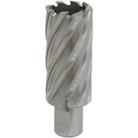 Sealey RBHSS29L Rotabor Cutter, silver with spiral flutes, 29mm diameter, 50mm cut depth, cylindrical shank.