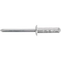 Silver aluminium multi-grip rivet with standard flange, 4.8 x 19mm, by Sealey, pack of 200.