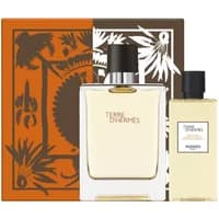 Hermès Terre D'Hermes gift set with 100ml clear square bottle and 80ml shower gel, orange and brown floral box.