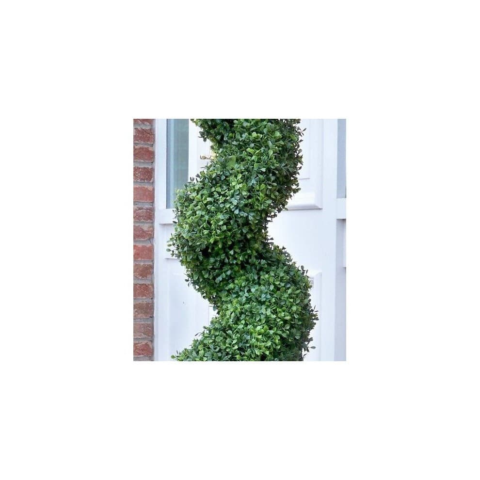 5ft Green Boxwood Spiral Topiary Tree - image 4