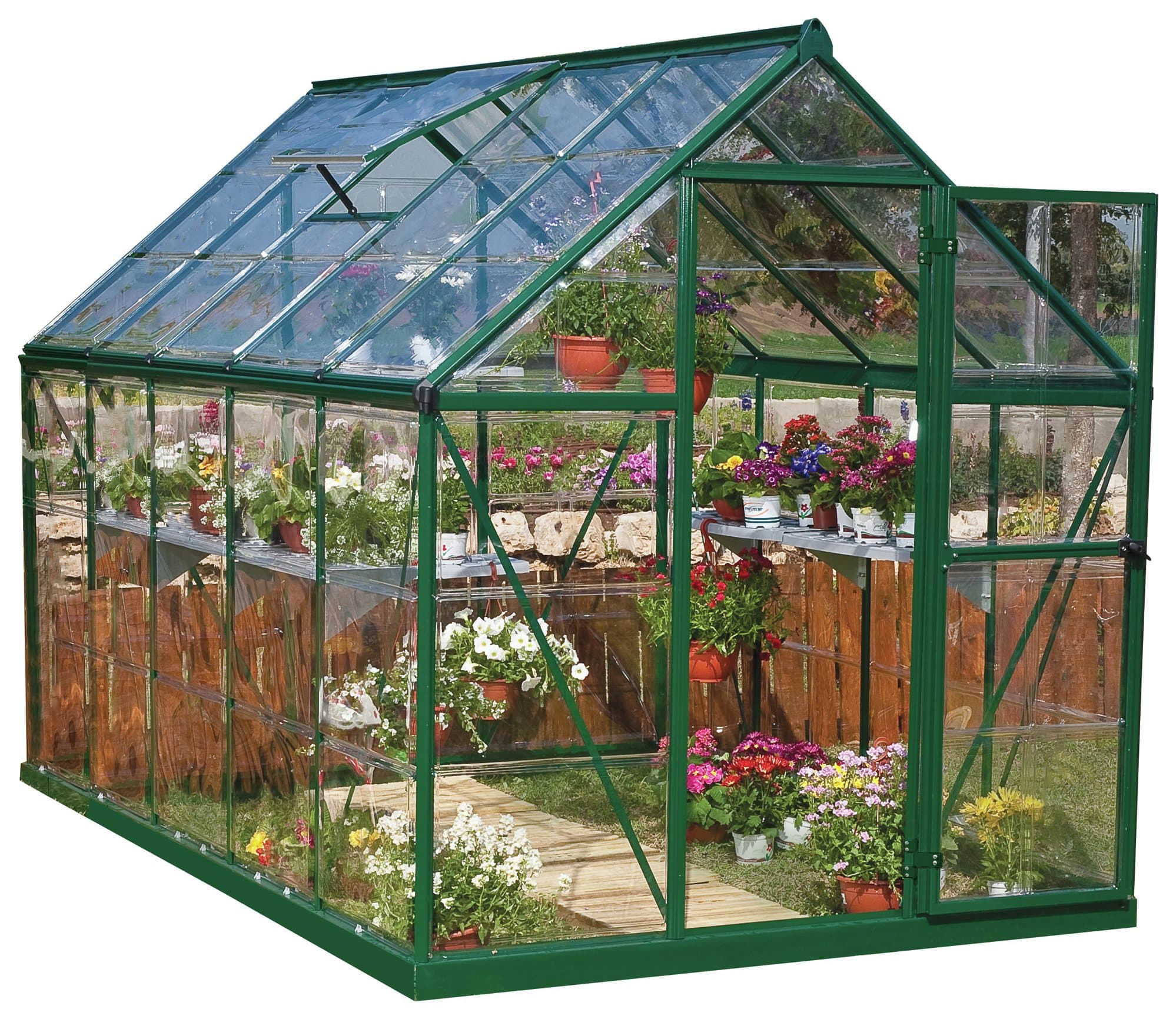 A green, walk-in greenhouse made of polycarbonate with a sloped roof, featuring multiple shelves filled with colorful flowers and plants inside.