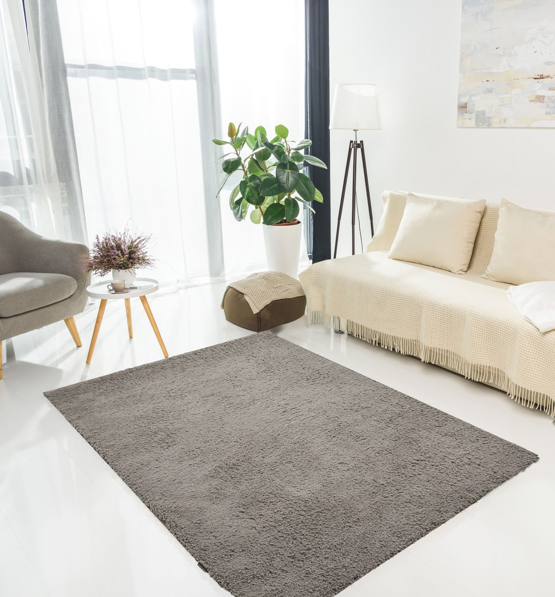 Soft, plush grey rug from DS Living, measuring 150x210 cm, featuring a luxurious cloud-like texture, set in a bright, modern living space with plants and cozy furnishings.