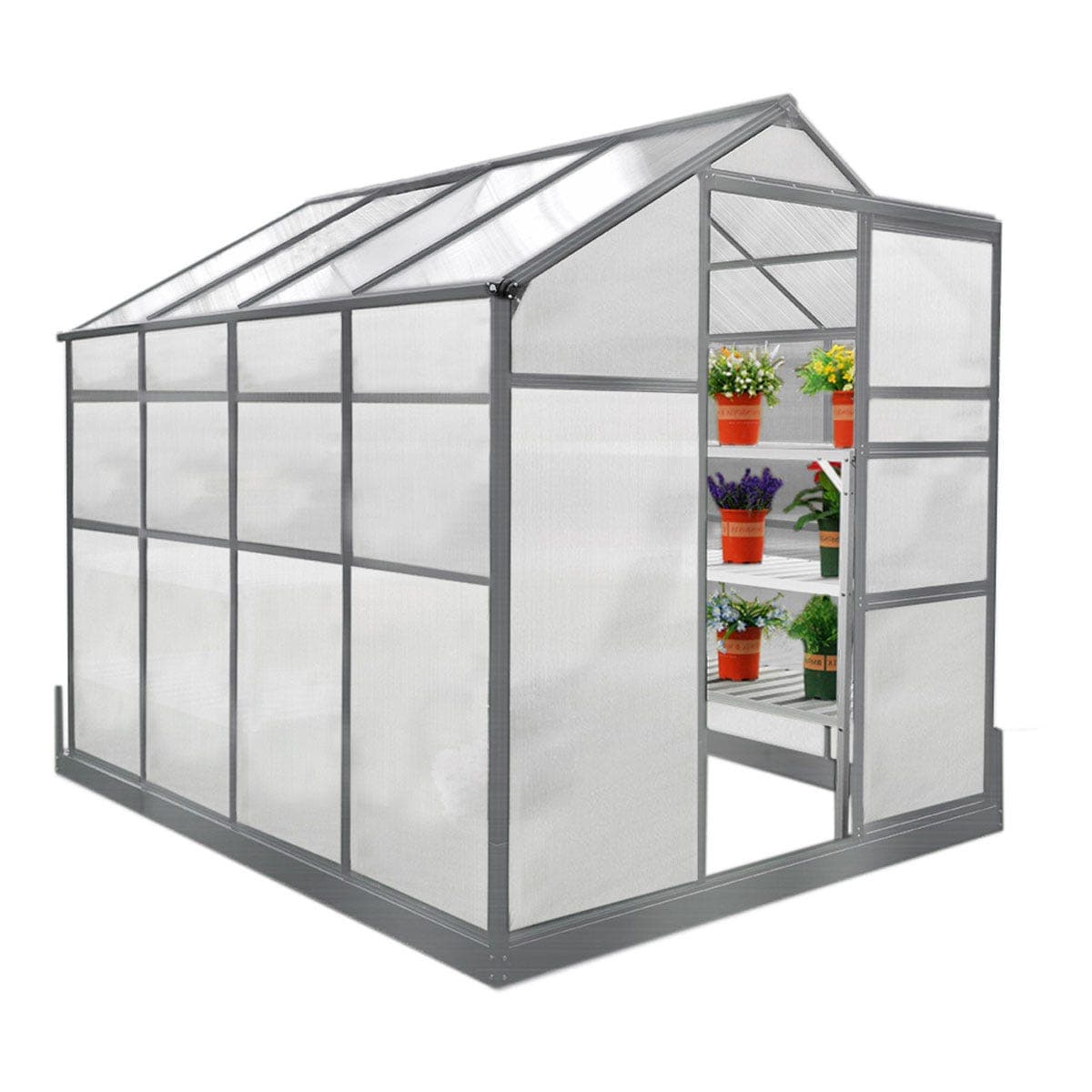 Green greenhouse measuring 6ft x 8ft with a metal frame, clear plastic panels, and shelves displaying potted plants inside.