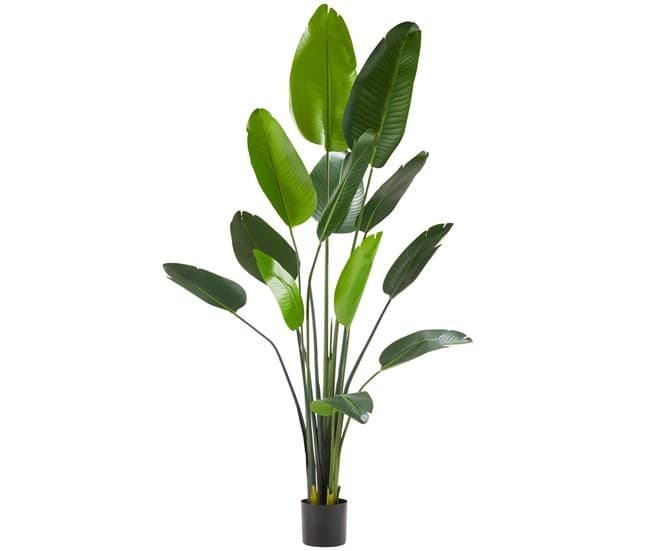 Tall artificial Bird of Paradise tree featuring vibrant green leaves in various sizes, set in a simple black pot, made from durable materials for a realistic appearance.