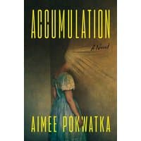 "Book 'Accumulation' by Aimee Pokwatka, cover art of woman in blue dress with light obscuring face"
