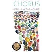 "Chorus book cover with colorful abstract shapes and award seal at bottom left"