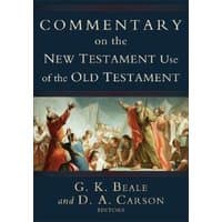 "Hardcover book 'Commentary on the New Testament Use of the Old Testament' with classical painting on cover"