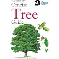 "Concise Tree Guide book with green tree illustration and acorn graphics on white cover by Bloomsbury Publishing PLC"