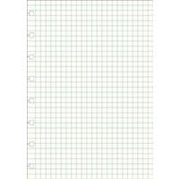 Filofax A5 Notebook Refill with squared white paper, pre-punched holes on the side for easy binder insertion.