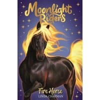 "Moonlight Riders book cover featuring a black horse with fiery mane and tail against a starry purple background"