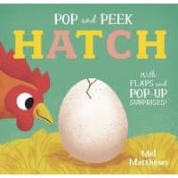 Children's book "Hatch" with a cracked egg on straw, a curious hen, and colorful text.