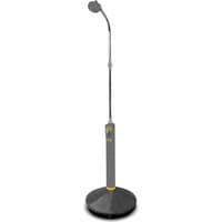 Hozelock Outdoor Solar Shower with tall gray stand, adjustable showerhead, and circular black base.