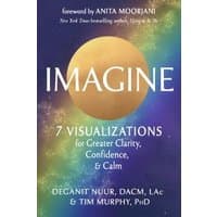 "Imagine book with golden circle, blue background, and text on visualizations for clarity, confidence, and calm"