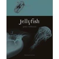 "Jellyfish book cover with ethereal jellyfish illustrations and elegant white text on a dark background"
