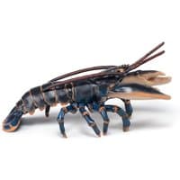 Blue and orange lobster bookend with detailed claws and antennae.