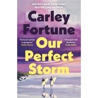 Paperback book "Our Perfect Storm" by Penguin Books Ltd, purple and yellow cover with surfers on a beach.