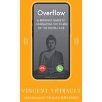"Orange book cover with smartphone displaying Buddha image, titled 'Overflow' by Vincent Thibault, digital age guide"