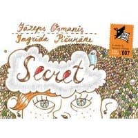 "Illustrated book cover with whimsical art, featuring a face with large eyes and the word 'Secret' in cloud-like text"
